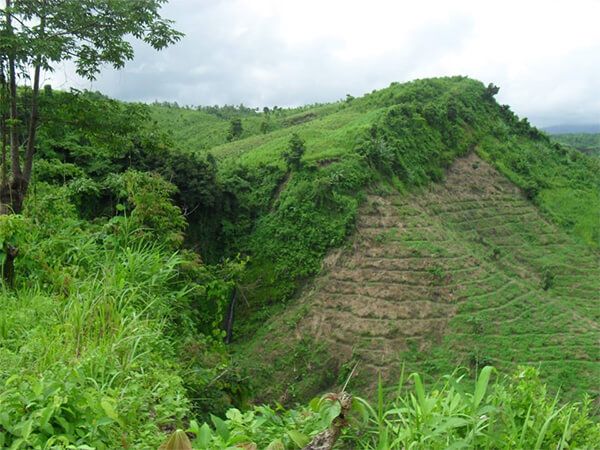Tankabati_Eco_Resorts_Park_Ltd